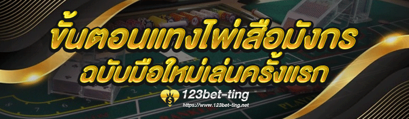 ขั้นตอนแทงไพ่เสือมังกร ฉบับมือใหม่เล่นครั้งแรก